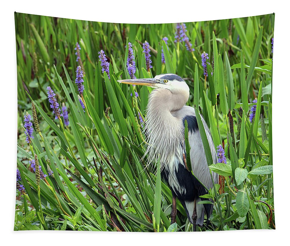 Ardea Herodias Tapestry featuring the photograph Hiding in the Pickerelweed by Robert Carter