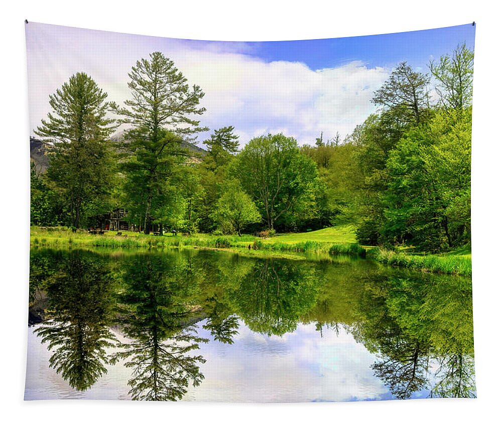 Lake Tapestry featuring the photograph High Country Reflections by Shelia Hunt
