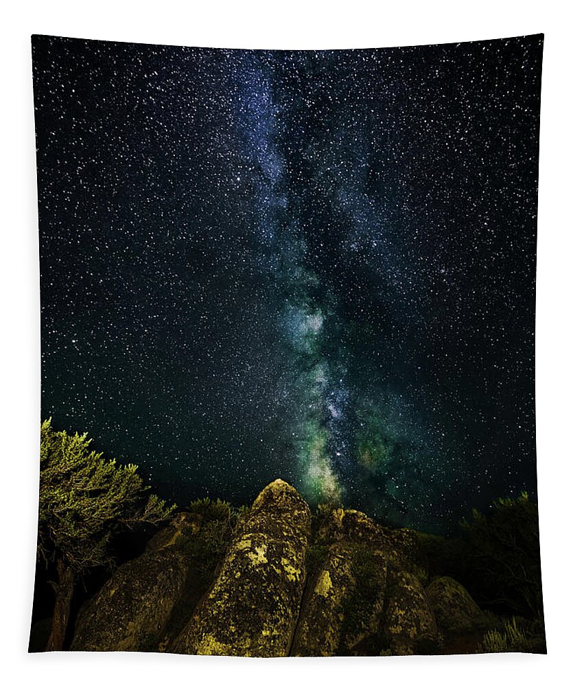 Milky Way Tapestry featuring the photograph High Desert Milky Way 2 by Ron Long Ltd Photography