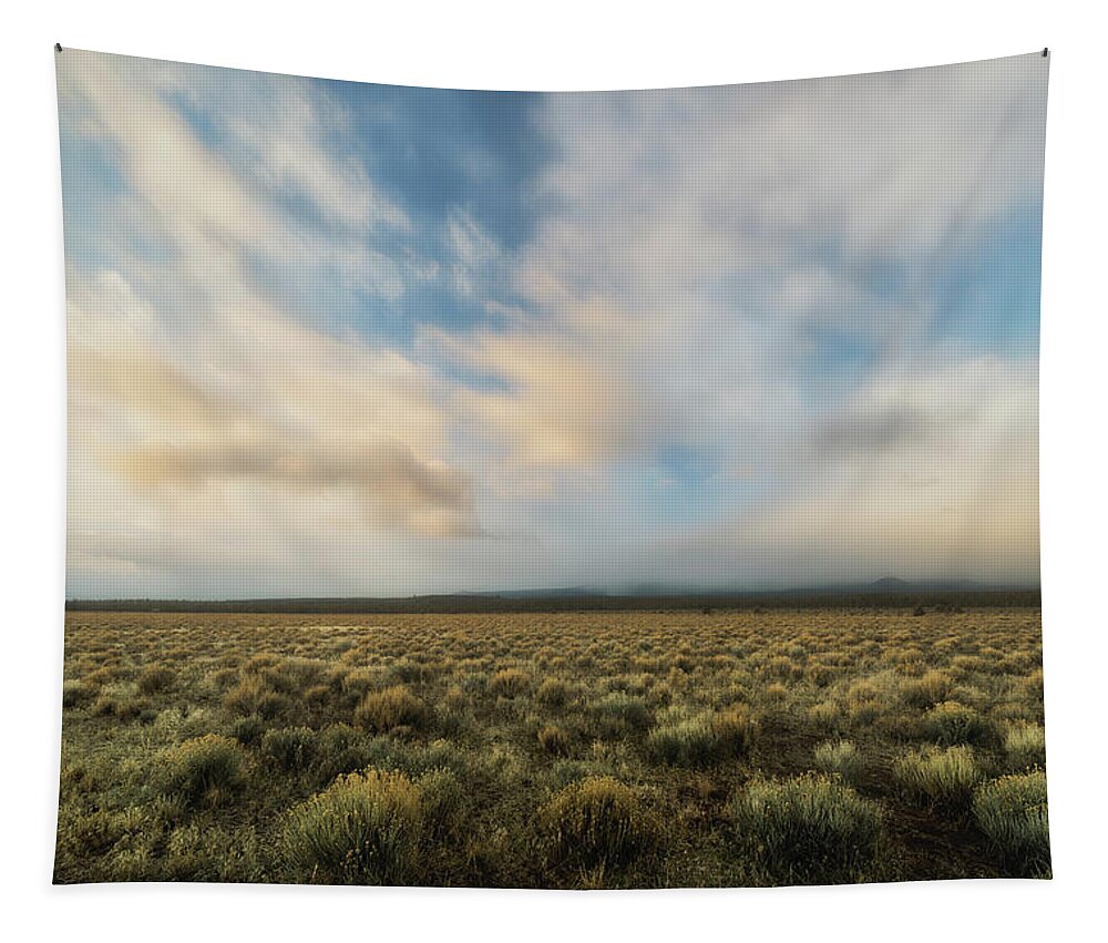 State Park Tapestry featuring the photograph High Desert Morning by Ryan Manuel