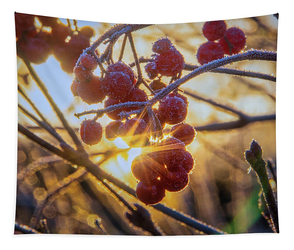 Garden Tapestry featuring the photograph Highbush Cranberry by Dan Eskelson