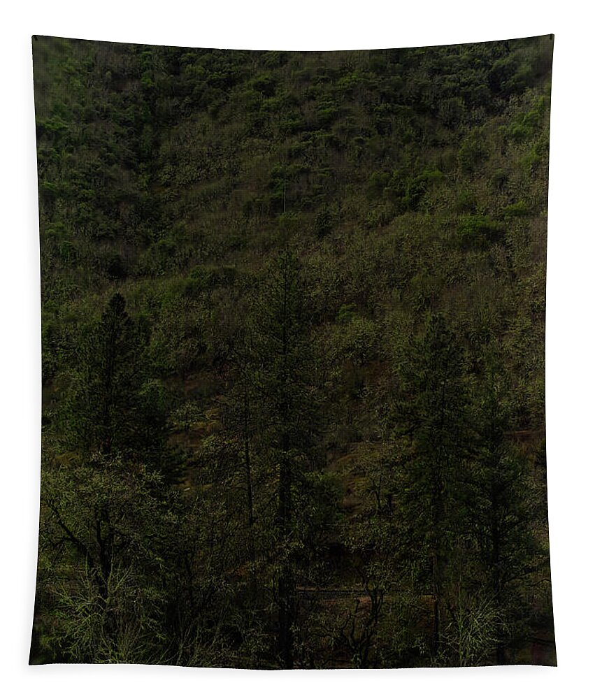Oregon Tapestry featuring the photograph Hill and Sky II by Theresa Fairchild