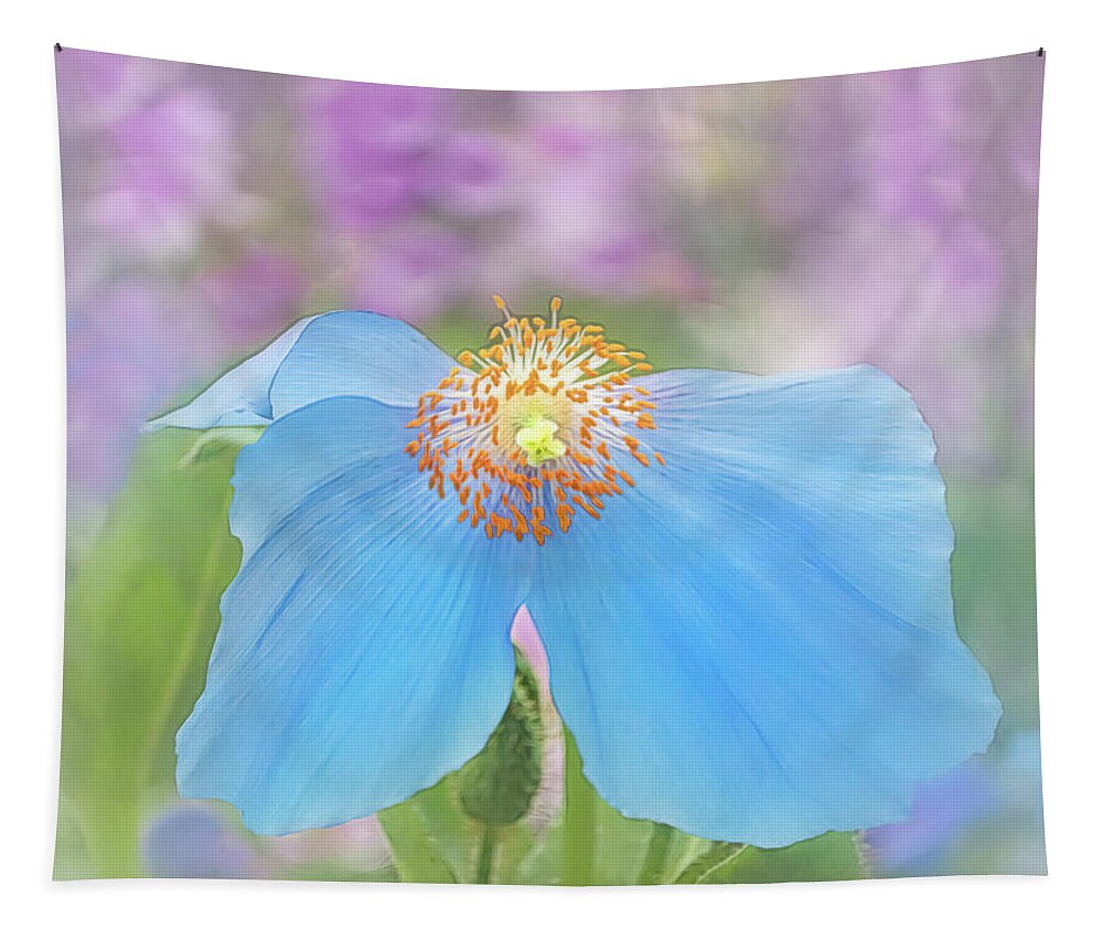 Poppy Tapestry featuring the photograph Himalayan Blue Poppy - In The Garden by Sylvia Goldkranz