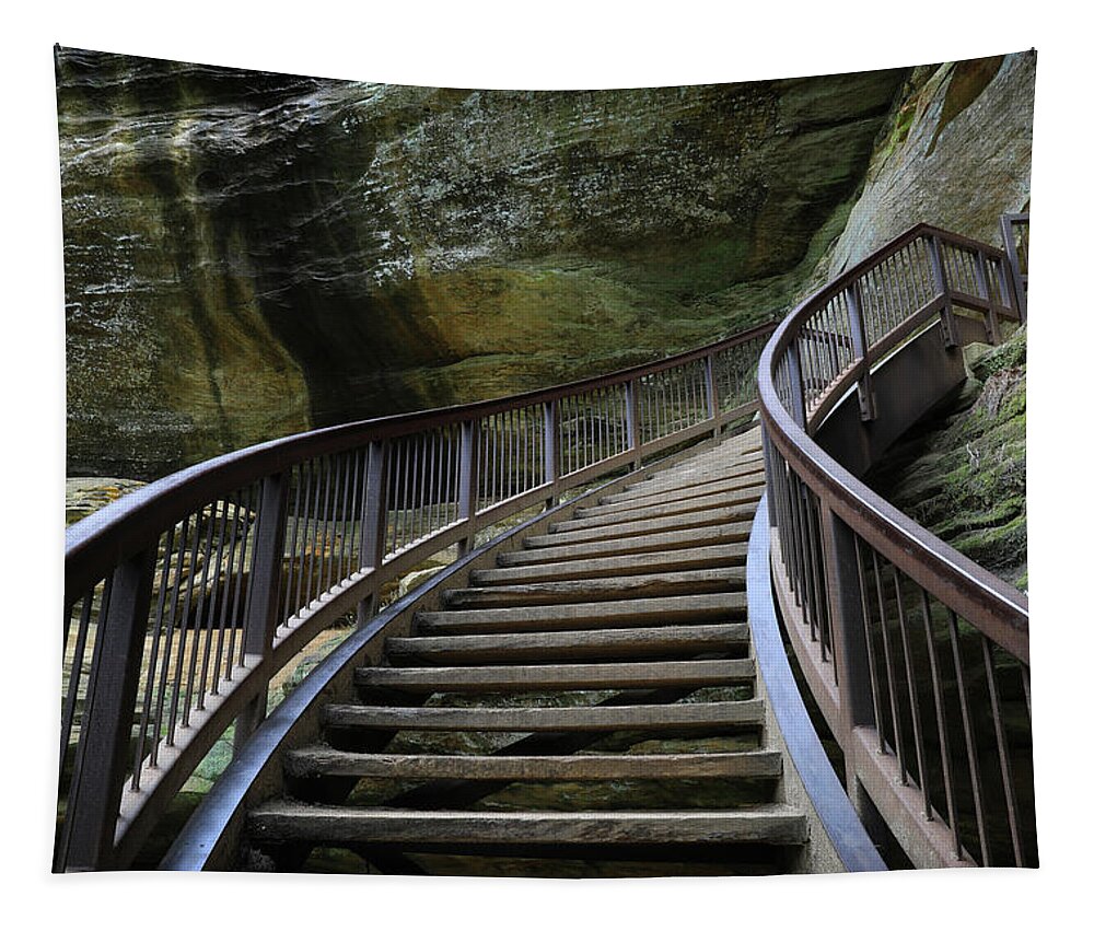 Hocking Hills Steps Tapestry featuring the photograph Hocking Hills Steps by Dan Sproul