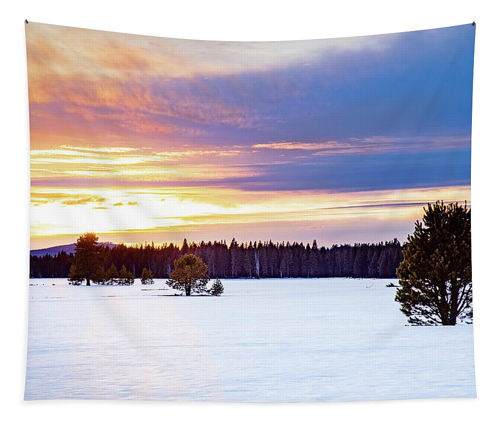 Lake Tapestry featuring the photograph Hog Flat Winter Sunset by Mike Lee