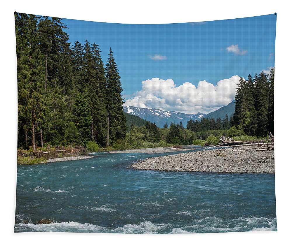 Forest Tapestry featuring the photograph Hoh River Rapids by Robert Potts