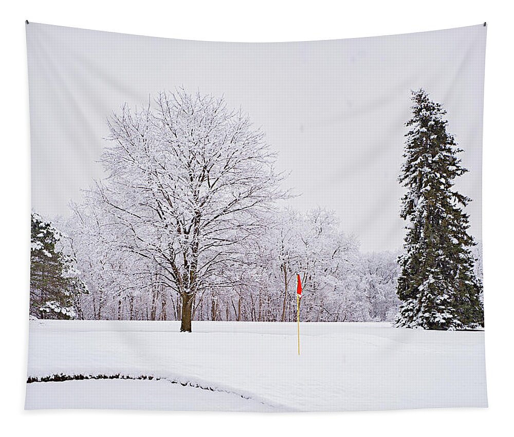 Winter Tapestry featuring the photograph Hole 18 in Winter 2 by Jill Love