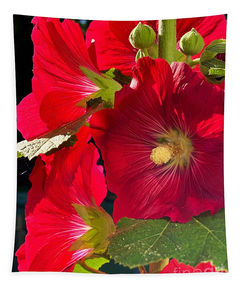 Hollyhock Tapestry featuring the photograph Hollyhocks by Jeanette French