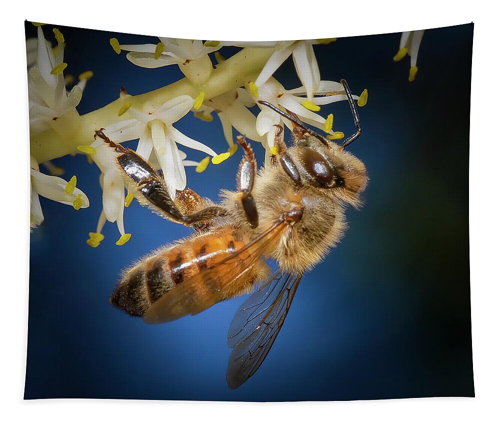 Bee Tapestry featuring the photograph Honey Bee in Blue by Mark Andrew Thomas