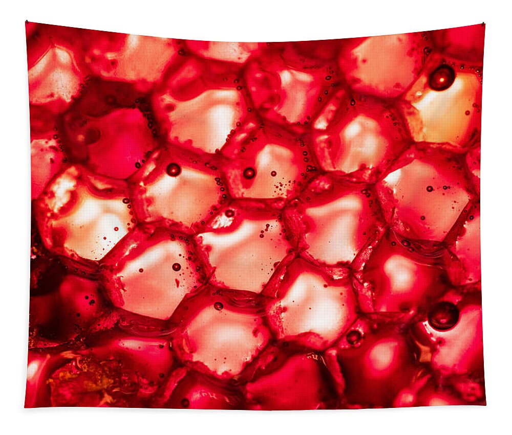 Honey Tapestry featuring the photograph Honey in the HoneyComb by Amelia Pearn