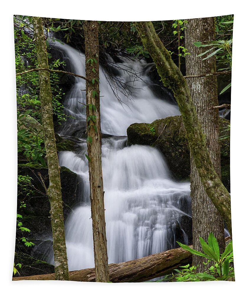 Honey Cove Falls Tapestry featuring the photograph Honey Cove Falls 4 by Phil Perkins