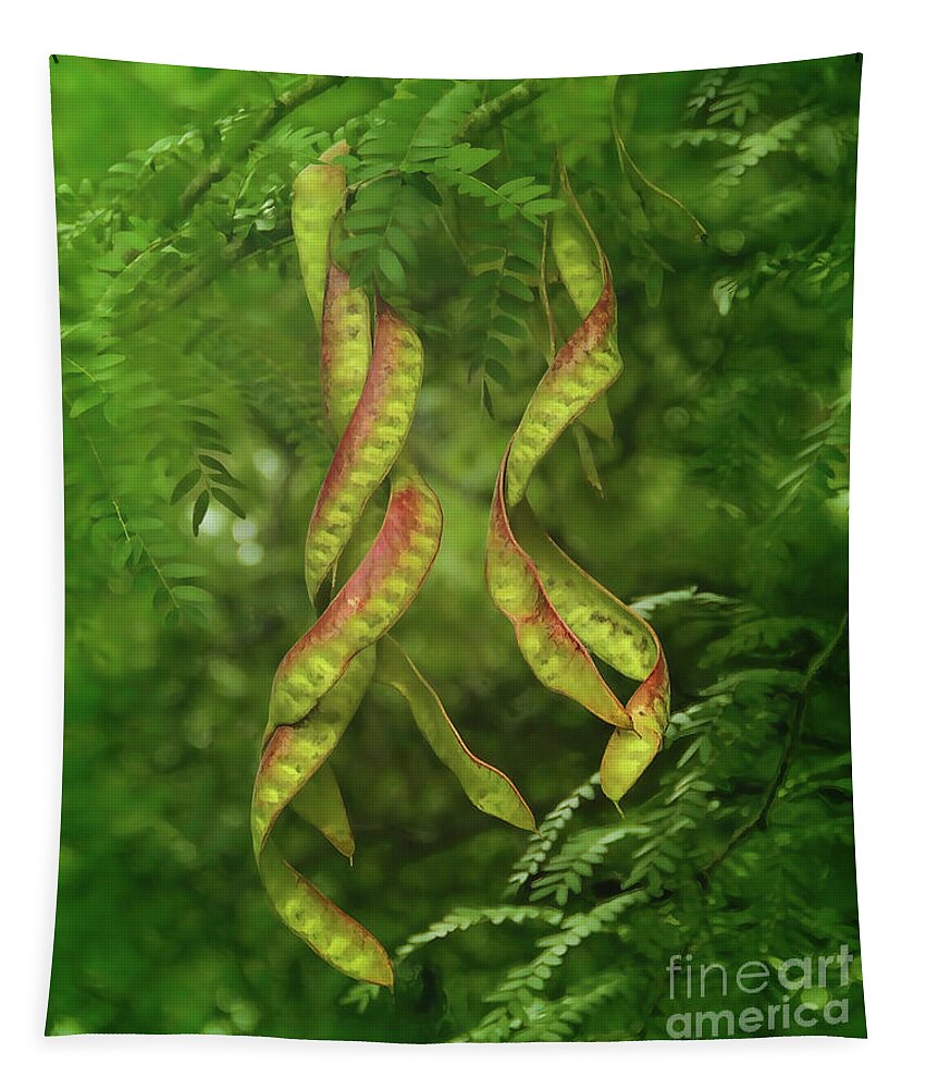 Honey Tapestry featuring the photograph Honey Locust Seedpods by Judi Bagwell