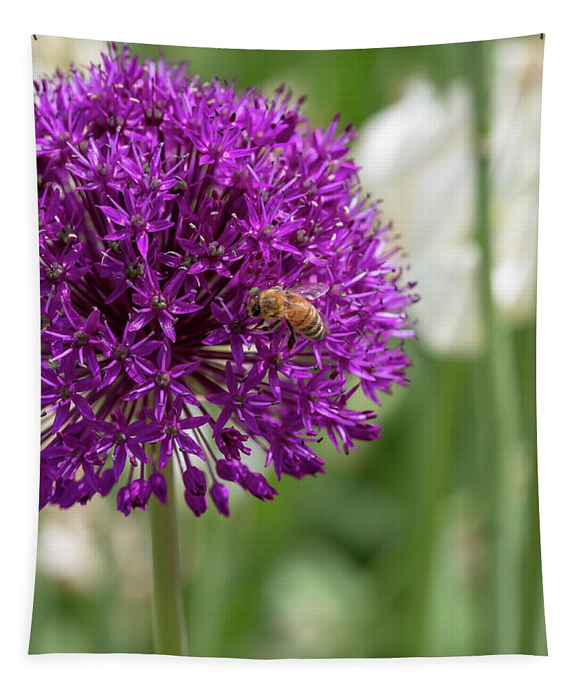 Flower Tapestry featuring the photograph Honeybee on Ornamental Onion by Dawn Cavalieri