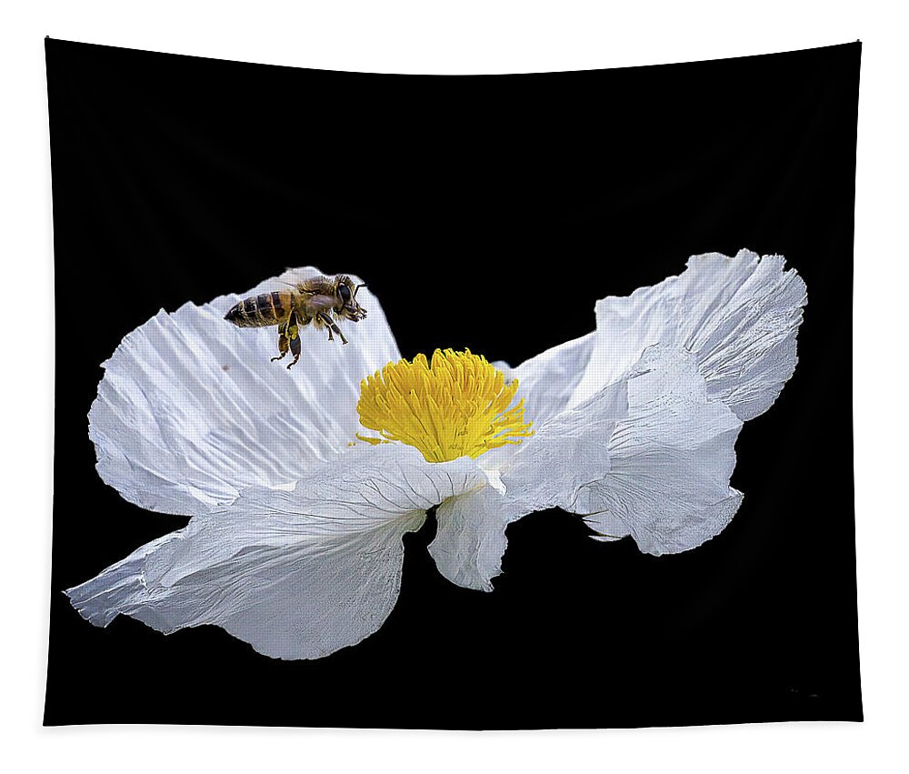 Bee Tapestry featuring the photograph Honeybee on Prickly Poppy by Cheri Freeman