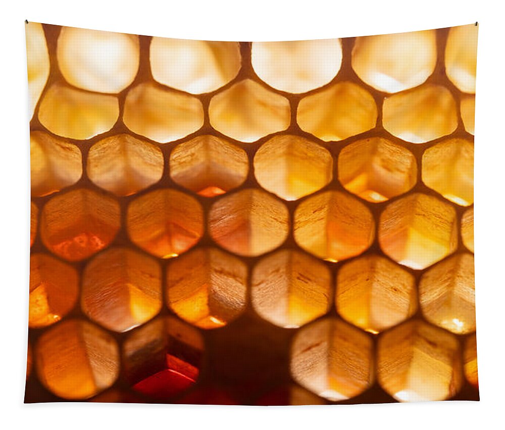 Honey Tapestry featuring the photograph Honeycomb Macro by Amelia Pearn