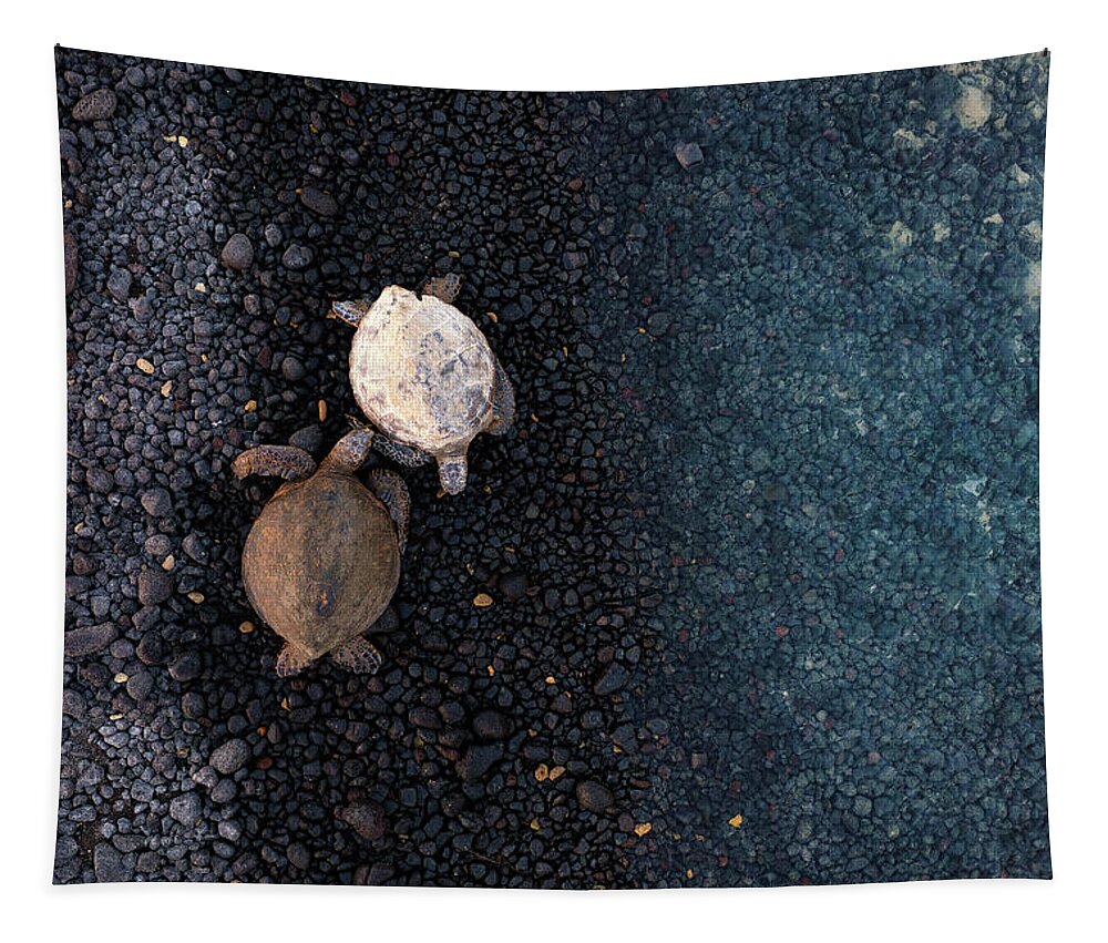 Honu Tapestry featuring the photograph Honu Pair by Christopher Johnson