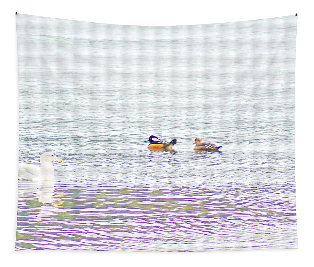 Harbor Tapestry featuring the photograph Hooded Merganser by Bill TALICH