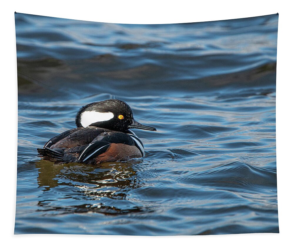 Duck Tapestry featuring the photograph Hooded Merganser Drake by Kristia Adams