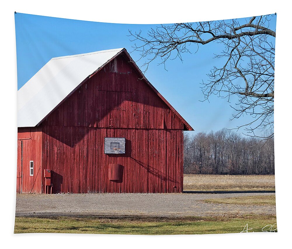 Basketball Tapestry featuring the photograph Hoops in the Heartland by Andrea Platt