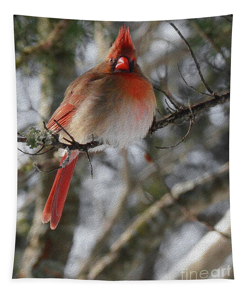 Bird Tapestry featuring the digital art Hope by Constance Woods