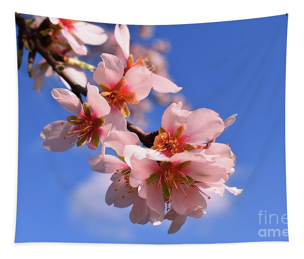 Flower Branch Tapestry featuring the photograph Hope Flower Blossoms In Spring 02 by Leonida Arte