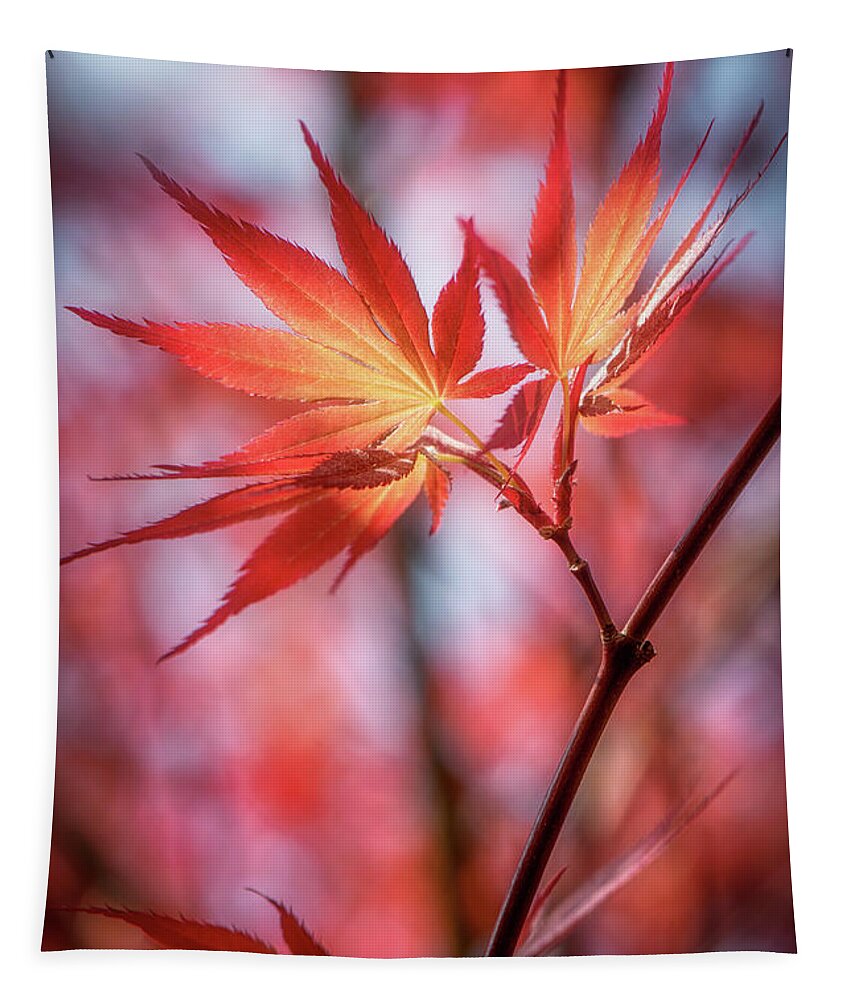 Leaves Tapestry featuring the photograph Hope is Red by Philippe Sainte-Laudy