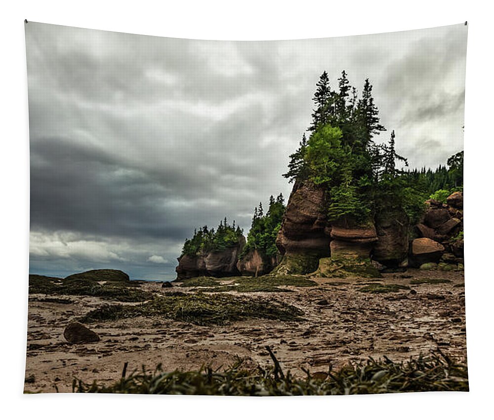 Hopewell Rocks Tapestry featuring the photograph Hopewell Rocks Low Tide by Linda Villers
