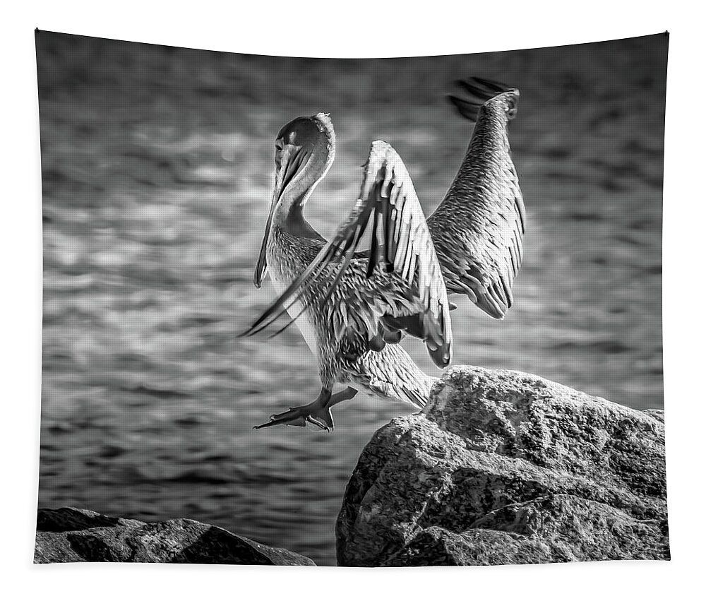 Pelican Tapestry featuring the photograph Hopper The Pelican by Debra Forand