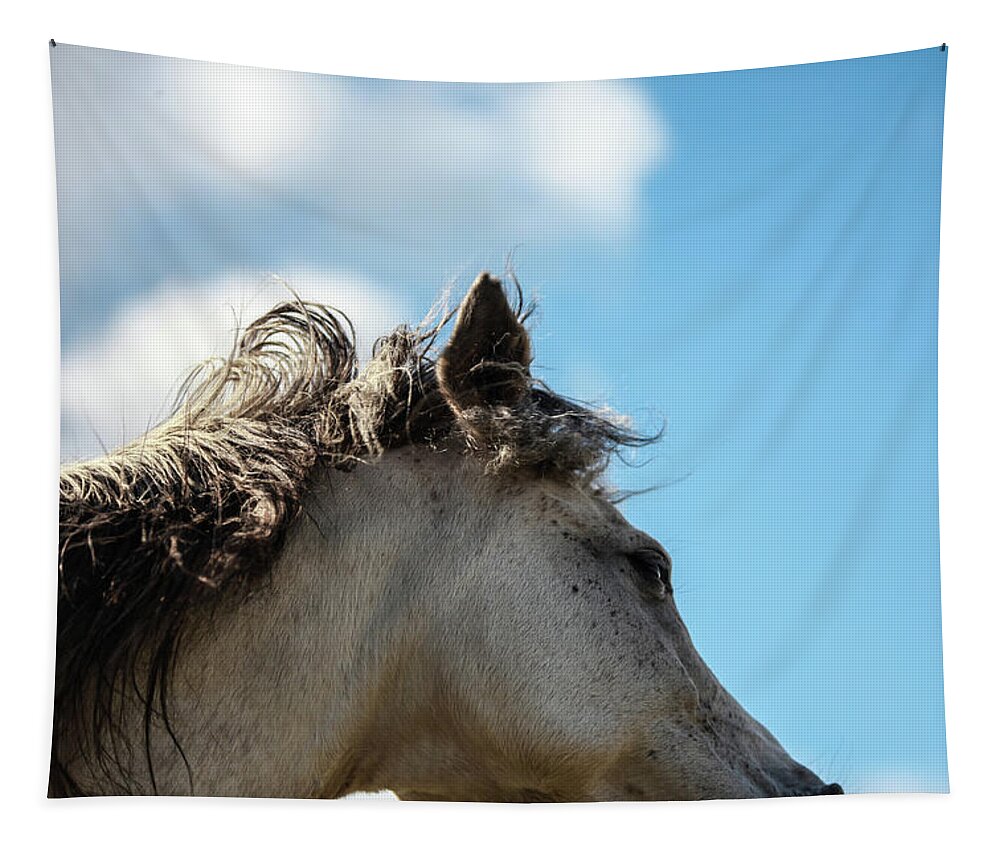 Horse Tapestry featuring the photograph Horse and Sky by Listen To Your Horse