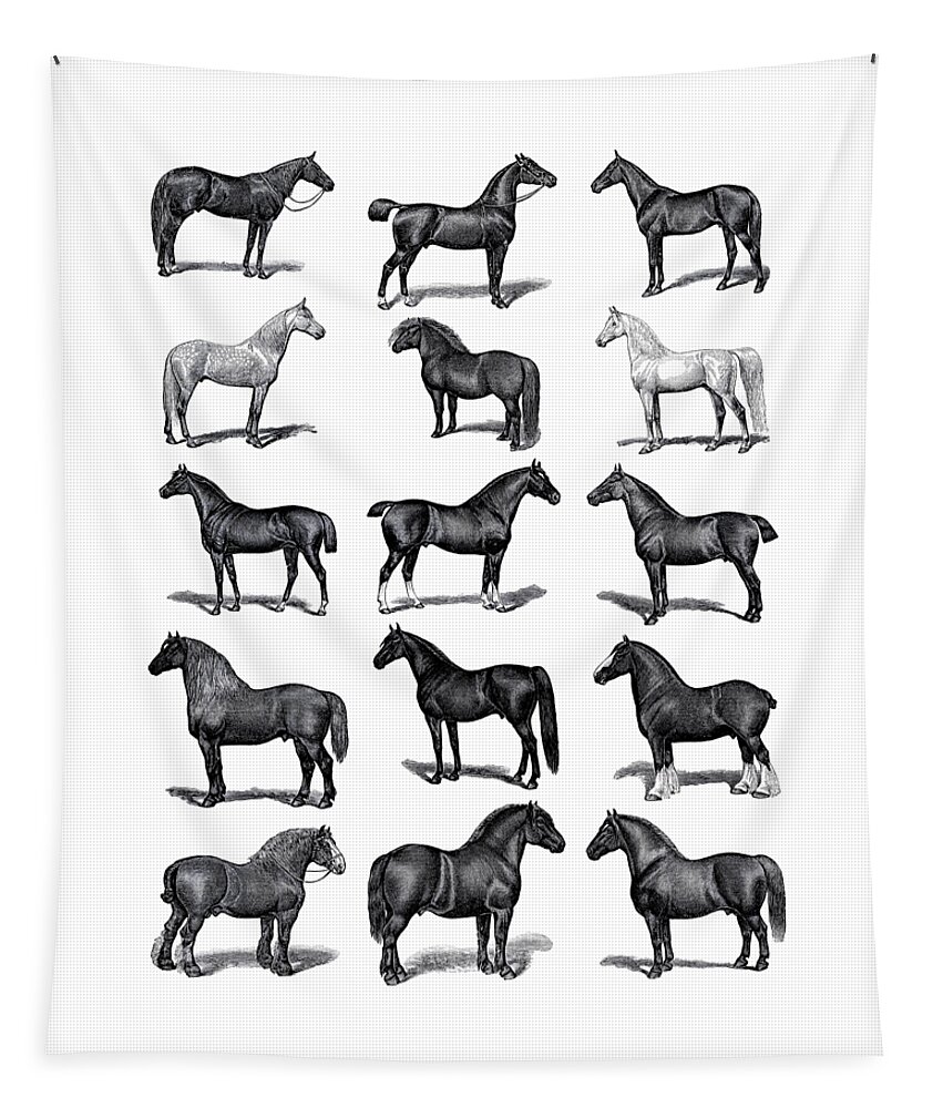 Horse Tapestry featuring the digital art Horse Chart by Madame Memento