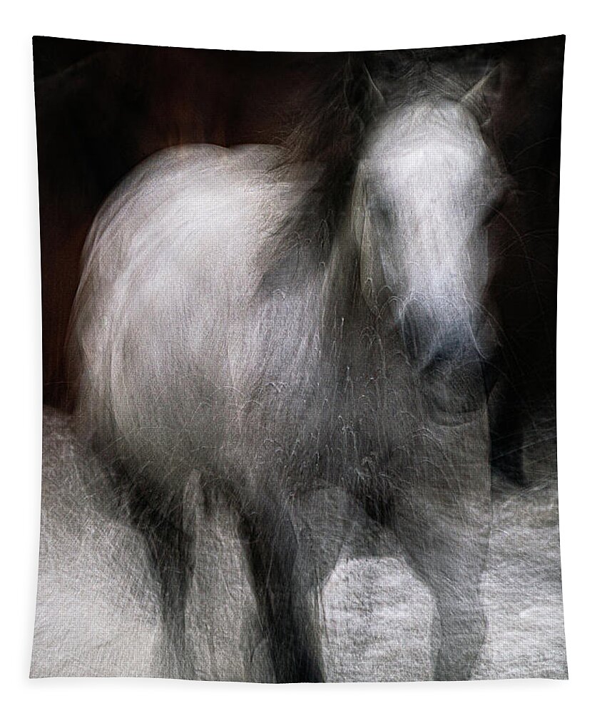 Landscape Tapestry featuring the photograph Horse by Grant Galbraith