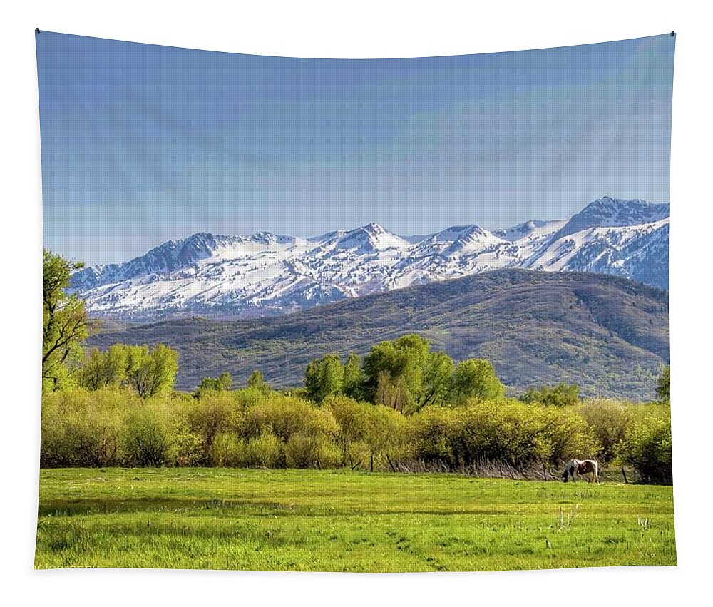 Utah Tapestry featuring the photograph Horse in the Valley by Pam Rendall