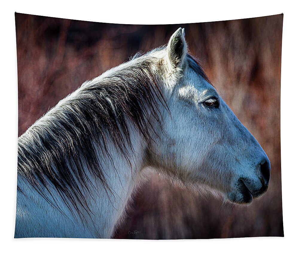 Horse Tapestry featuring the photograph Horse No. 4 by Craig J Satterlee
