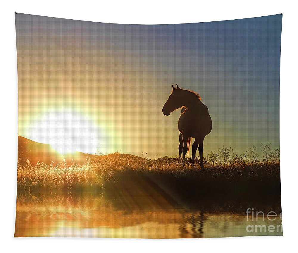 Horse Tapestry featuring the photograph Horse Water and Sunrise by Stephanie Laird