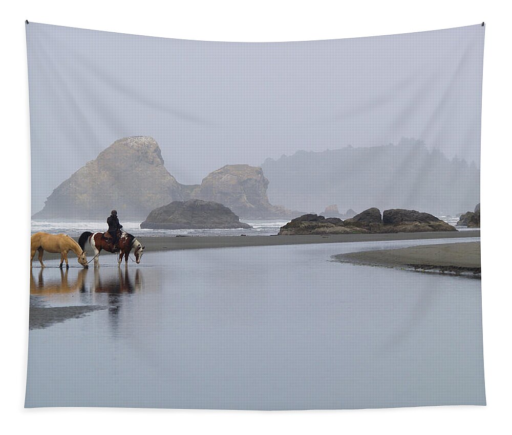 Horse Tapestry featuring the photograph Horse Watering by Grey Coopre