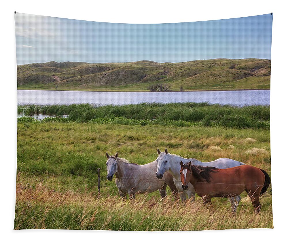 Horses Tapestry featuring the photograph Horses at Beem Lake - Sandhills Journey by Susan Rissi Tregoning
