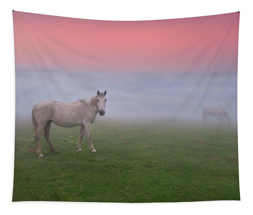 Horse Tapestry featuring the photograph Horses in the fog by Mikel Martinez de Osaba