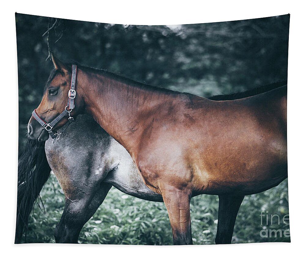 Horse Tapestry featuring the photograph Horses rest under a tree by Dimitar Hristov