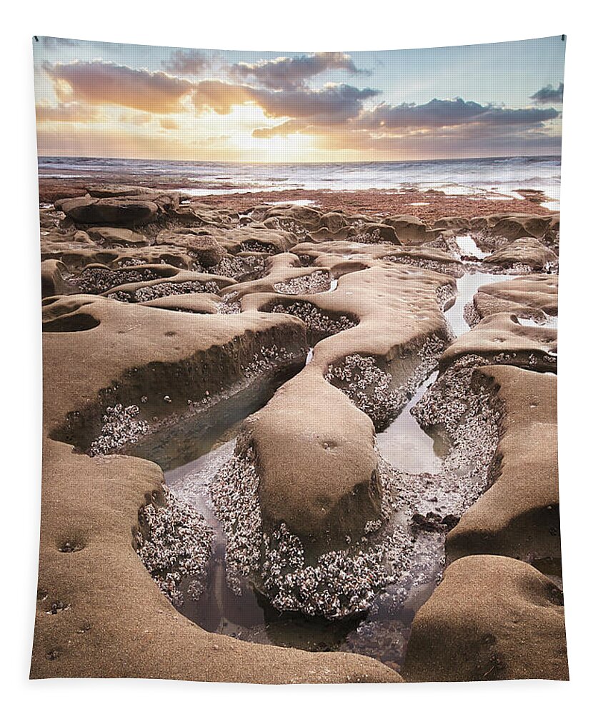 Beautiful Tapestry featuring the photograph Hospitals Reef La Jolla by Gary Geddes