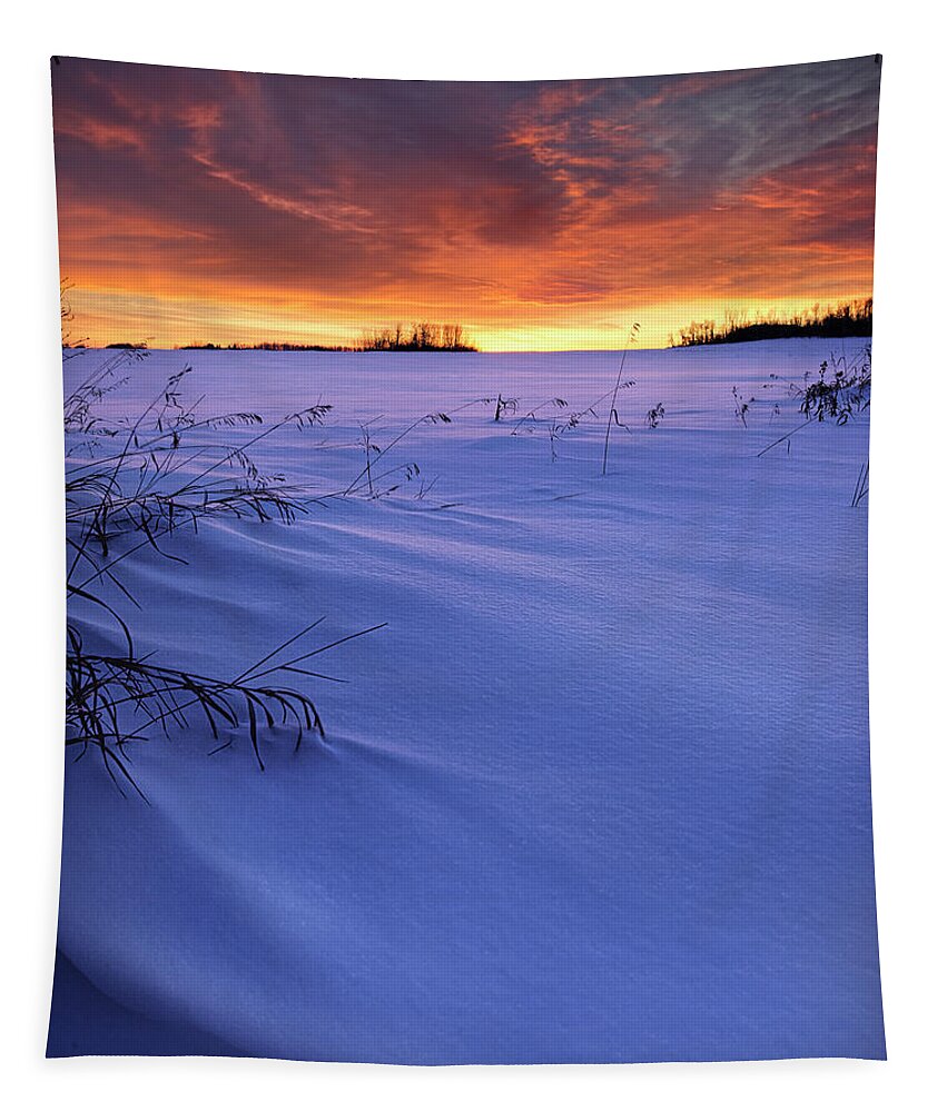Winter Tapestry featuring the photograph Hot and Cold by Dan Jurak