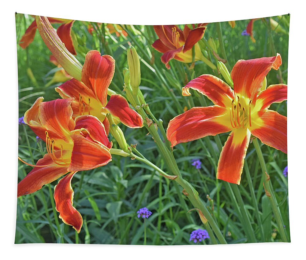 Daylilies Tapestry featuring the photograph Hot July Field of Daylilies by Janis Senungetuk