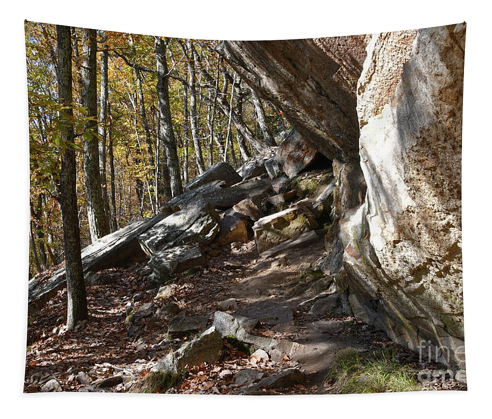 House Mountain Tapestry featuring the photograph House Mountain 17 by Phil Perkins