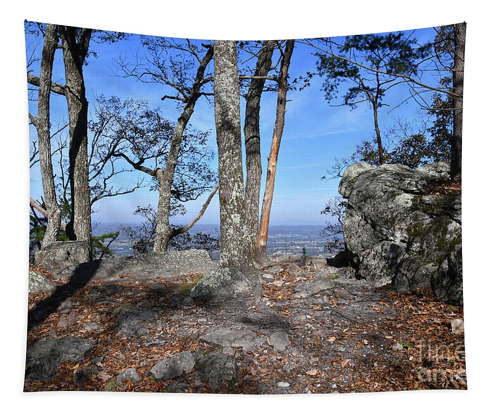 House Mountain Tapestry featuring the photograph House Mountain 21 by Phil Perkins
