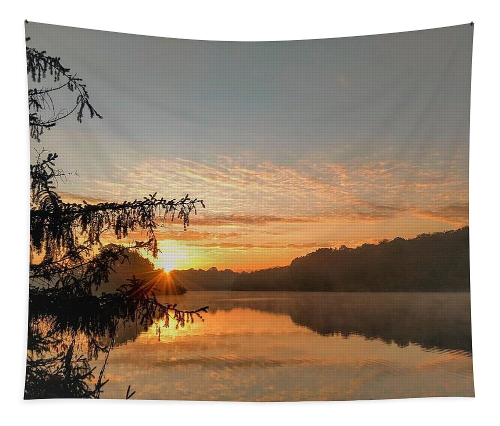  Tapestry featuring the photograph Hudson Springs Park Sunrise by Brad Nellis