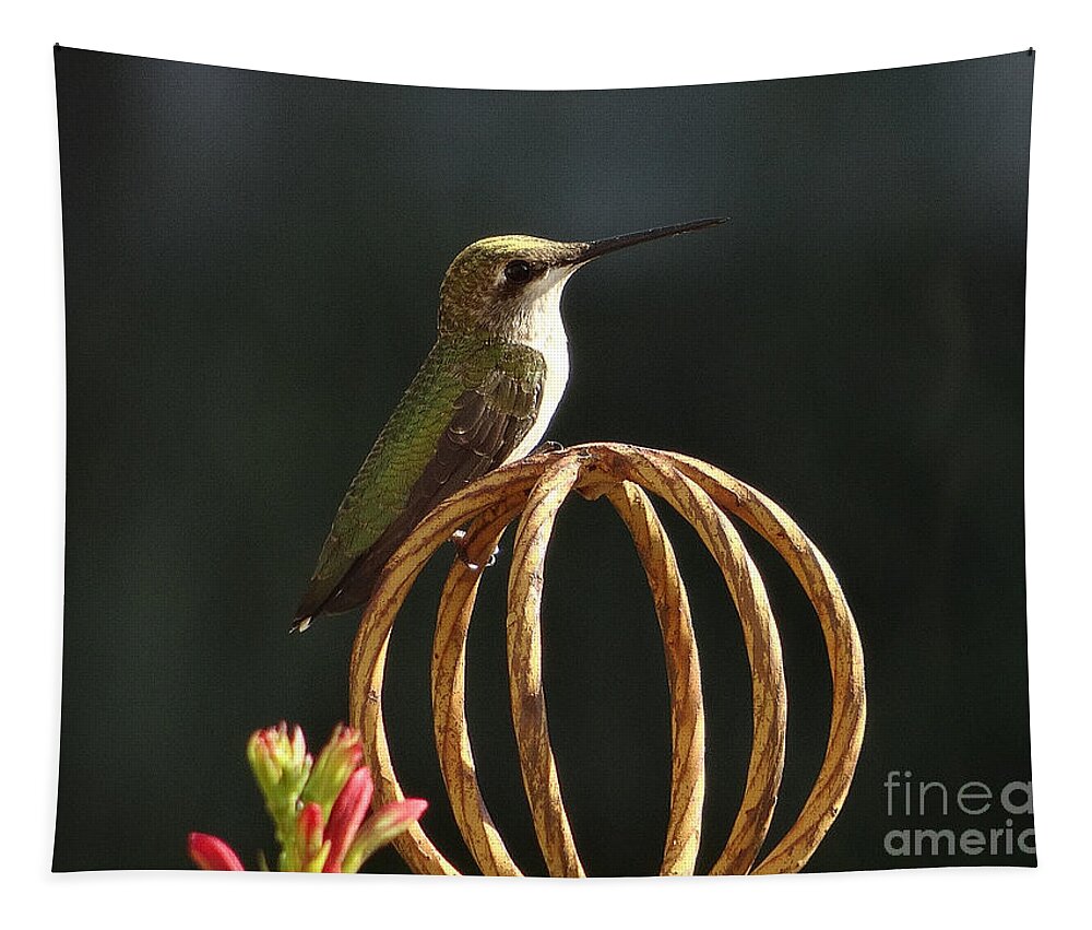 5 Star Tapestry featuring the photograph Hummers on Deck- 2-04 by Christopher Plummer