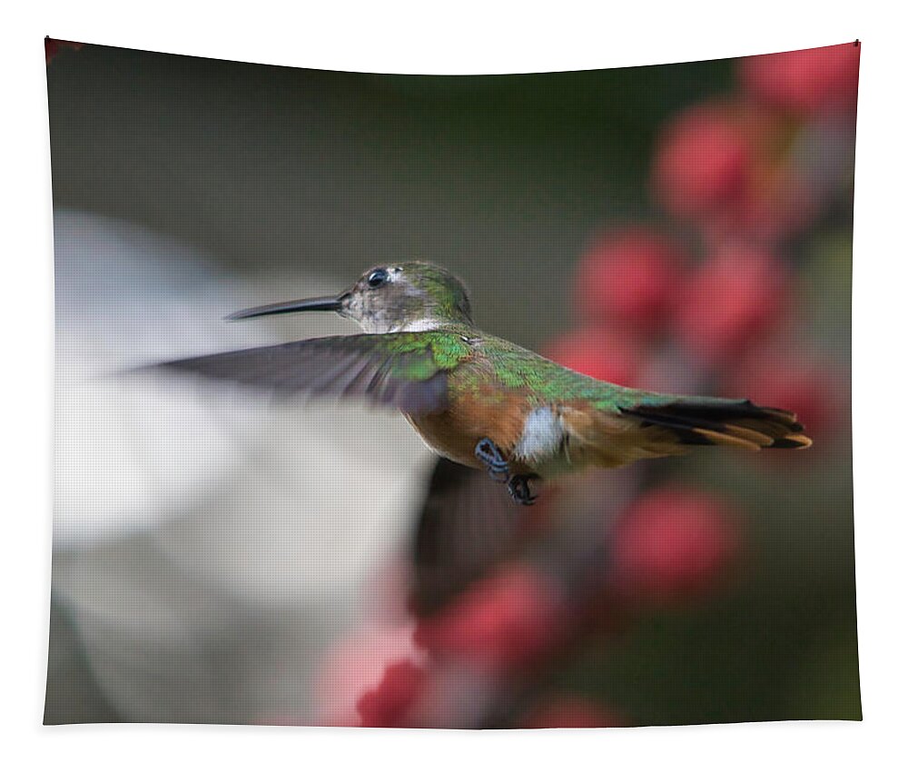 Hummingbird Tapestry featuring the photograph Humming Bird between flowers by Montez Kerr