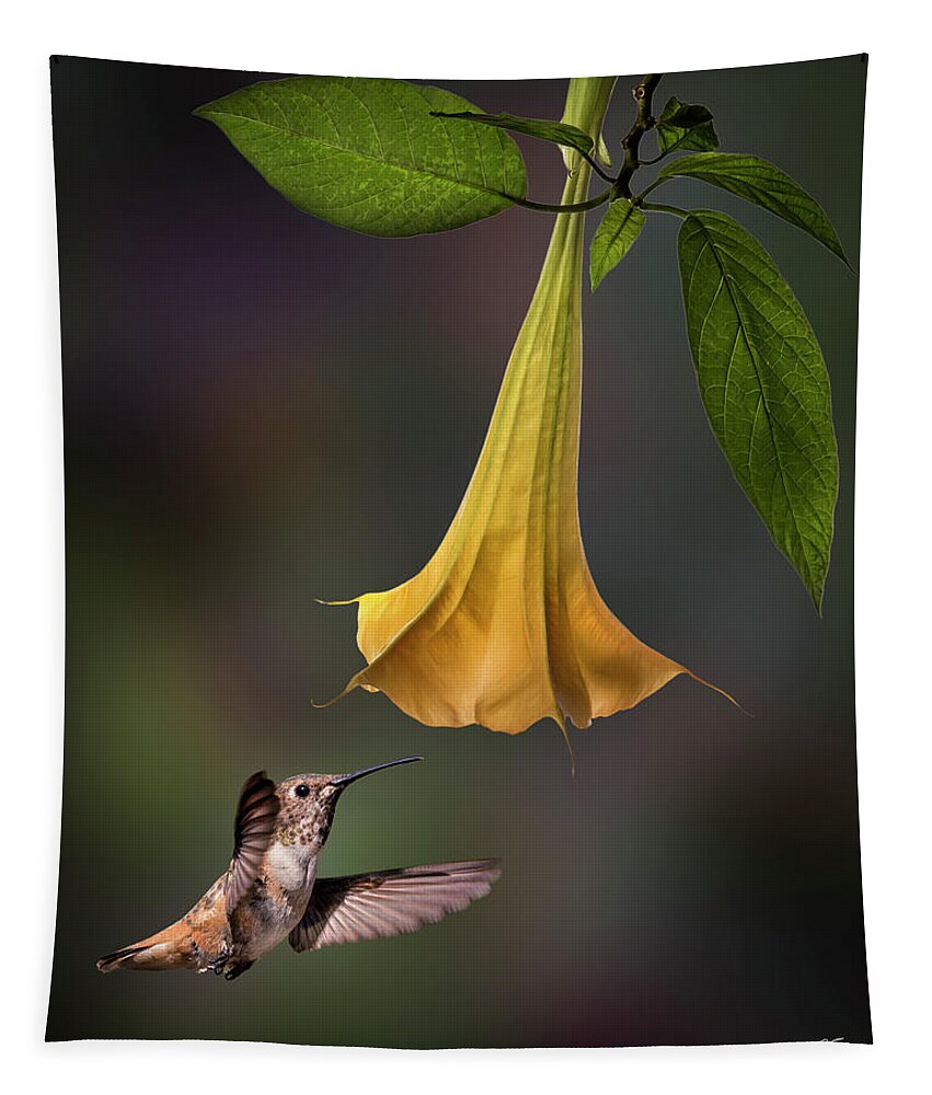 Hummingbird Tapestry featuring the photograph Hummingbird and Angel Trumpet by Endre Balogh