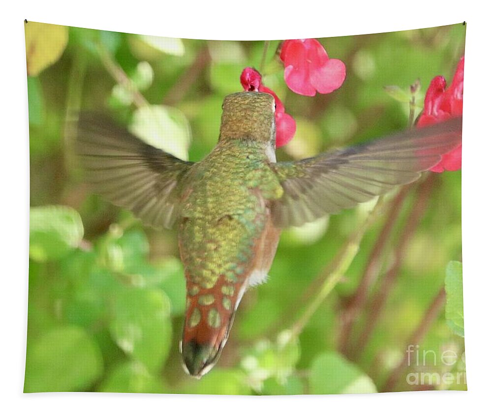 Camouflage Tapestry featuring the photograph Hummingbird Camouflage by Carol Groenen