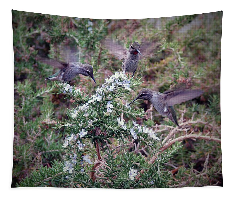 Bird Tapestry featuring the photograph Hummingbird Trio by Carl Moore