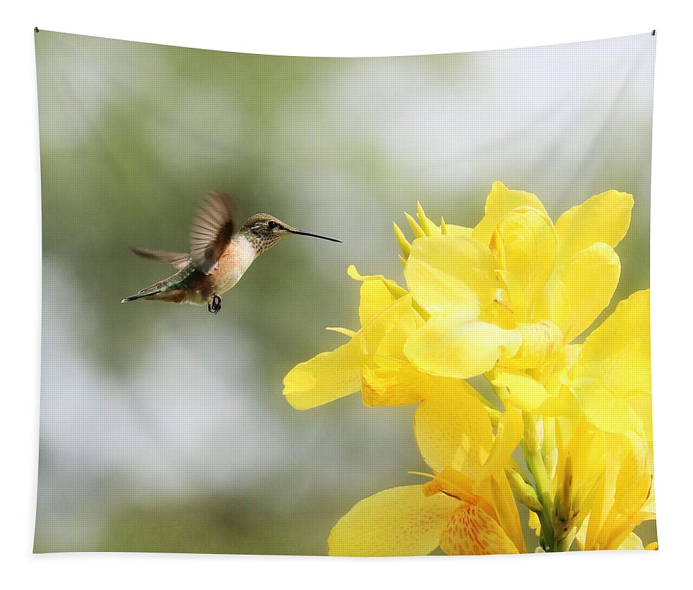 Beckoning Tapestry featuring the photograph Hummingbird with Yellow Canna Lily Square by Carol Groenen